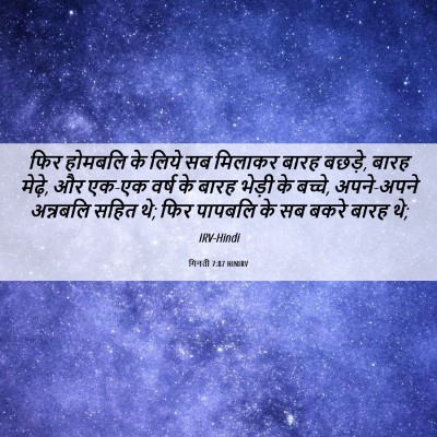 Picture 06 - गिनती 7:87 HINIRV - फिर होमबलि के लिये - Bible Verse Picture
