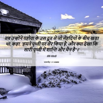 Picture 06 - जकर्याह 1:11 HINIRV - तब उन्होंने यहोवा - Bible Verse Picture