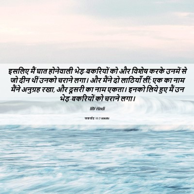 Picture 06 - जकर्याह 11:7 HINIRV - इसलिए मैं घात - Bible Verse Picture