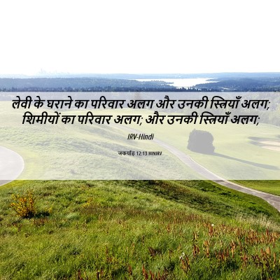 Picture 06 - जकर्याह 12:13 HINIRV - लेवी के घराने का - Bible Verse Picture