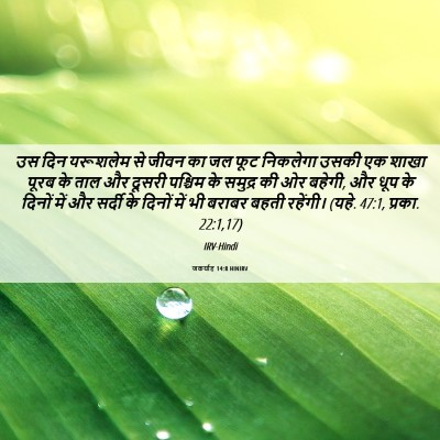 Picture 06 - जकर्याह 14:8 HINIRV - उस दिन यरूशलेम से - Bible Verse Picture