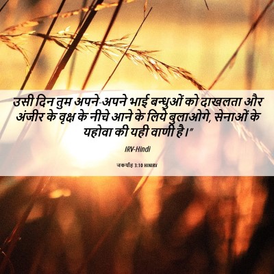 Picture 06 - जकर्याह 3:10 HINIRV - उसी दिन तुम - Bible Verse Picture