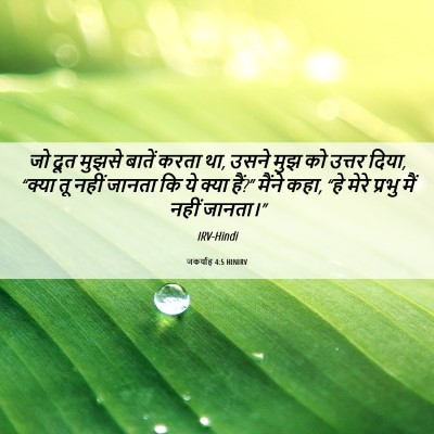 Picture 06 - जकर्याह 4:5 HINIRV - जो दूत मुझसे बातें - Bible Verse Picture