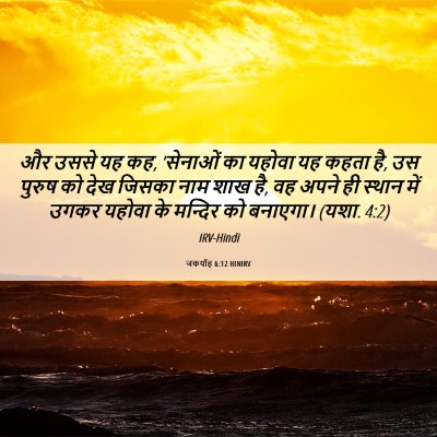Picture 06 - जकर्याह 6:12 HINIRV - और उससे यह कह, - Bible Verse Picture