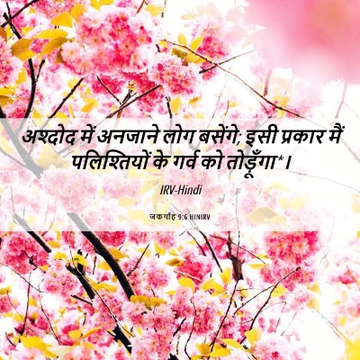 Picture 06 - जकर्याह 9:6 HINIRV - अश्दोद में अनजाने - Bible Verse Picture