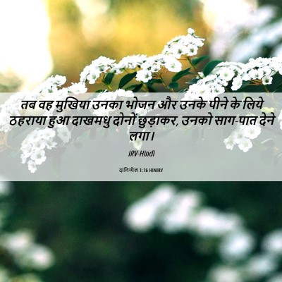 Picture 06 - दानिय्येल 1:16 HINIRV - तब वह मुखिया उनका - Bible Verse Picture