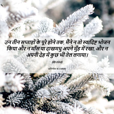 Picture 06 - दानिय्येल 10:3 HINIRV - उन तीन सप्ताहों के - Bible Verse Picture