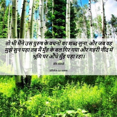 Picture 06 - दानिय्येल 10:9 HINIRV - तो भी मैंने उस - Bible Verse Picture