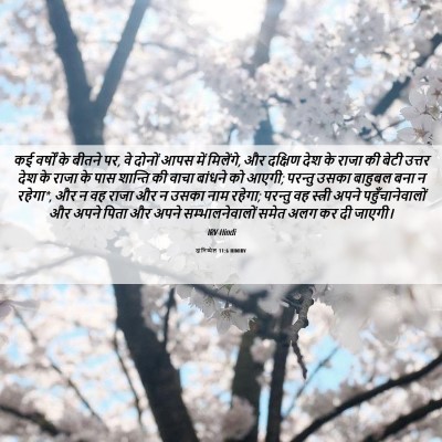Picture 06 - दानिय्येल 11:6 HINIRV - कई वर्षों के बीतने - Bible Verse Picture