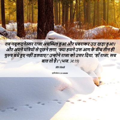 Picture 06 - दानिय्येल 3:24 HINIRV - तब नबूकदनेस्सर - Bible Verse Picture
