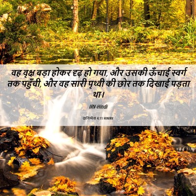 Picture 06 - दानिय्येल 4:11 HINIRV - वह वृक्ष बड़ा होकर - Bible Verse Picture