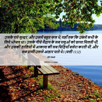 Picture 06 - दानिय्येल 4:12 HINIRV - उसके पत्ते सुन्दर, - Bible Verse Picture