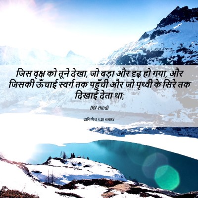 Picture 06 - दानिय्येल 4:20 HINIRV - जिस वृक्ष को तूने - Bible Verse Picture