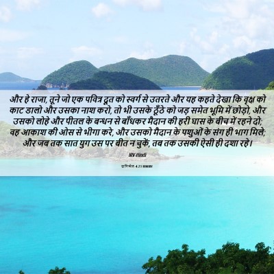Picture 06 - दानिय्येल 4:23 HINIRV - और हे राजा, तूने जो - Bible Verse Picture