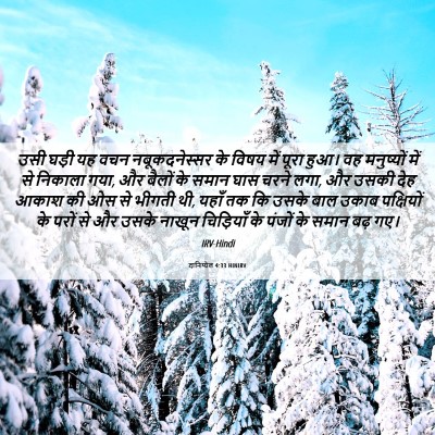 Picture 06 - दानिय्येल 4:33 HINIRV - उसी घड़ी यह वचन - Bible Verse Picture