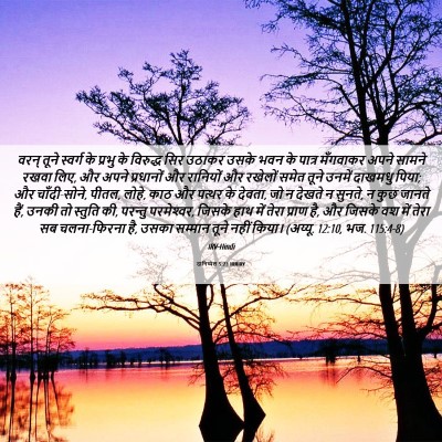 Picture 06 - दानिय्येल 5:23 HINIRV - वरन् तूने स्वर्ग - Bible Verse Picture