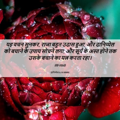 Picture 06 - दानिय्येल 6:14 HINIRV - यह वचन सुनकर, राजा - Bible Verse Picture
