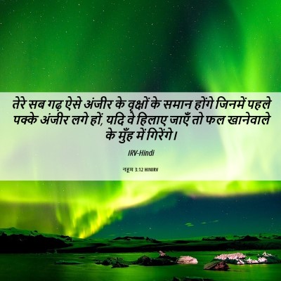 Picture 06 - नहूम 3:12 HINIRV - तेरे सब गढ़ ऐसे - Bible Verse Picture