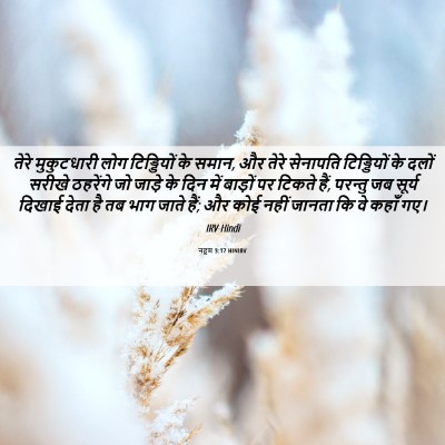 Picture 06 - नहूम 3:17 HINIRV - तेरे मुकुटधारी - Bible Verse Picture