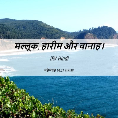 Picture 06 - नहेम्याह 10:27 HINIRV - मल्लूक, हारीम और - Bible Verse Picture