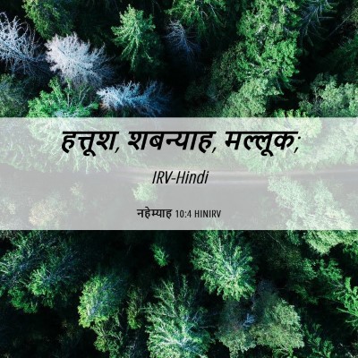 Picture 06 - नहेम्याह 10:4 HINIRV - हत्तूश, शबन्याह, - Bible Verse Picture