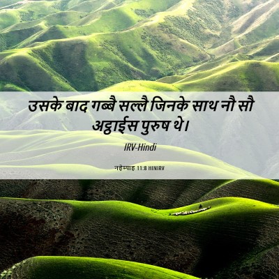 Picture 06 - नहेम्याह 11:8 HINIRV - उसके बाद गब्बै - Bible Verse Picture