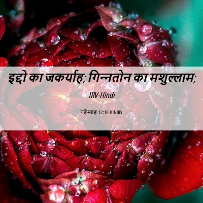 Picture 06 - नहेम्याह 12:16 HINIRV - इद्दो का जकर्याह; - Bible Verse Picture