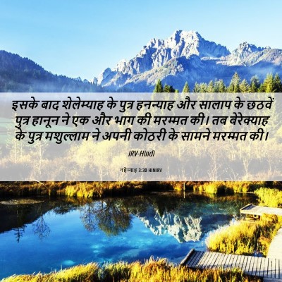 Picture 06 - नहेम्याह 3:30 HINIRV - इसके बाद - Bible Verse Picture