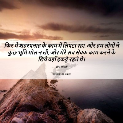 Picture 06 - नहेम्याह 5:16 HINIRV - फिर मैं शहरपनाह के - Bible Verse Picture