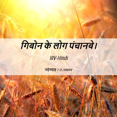 Picture 06 - नहेम्याह 7:25 HINIRV - गिबोन के लोग - Bible Verse Picture