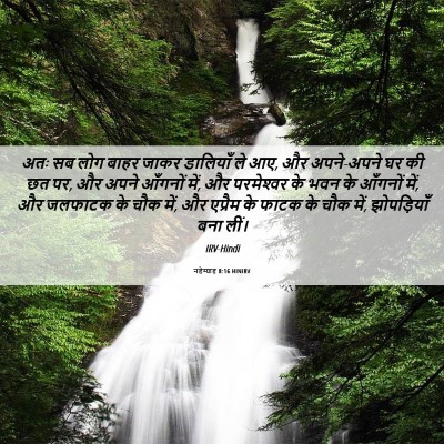 Picture 06 - नहेम्याह 8:16 HINIRV - अतः सब लोग बाहर - Bible Verse Picture