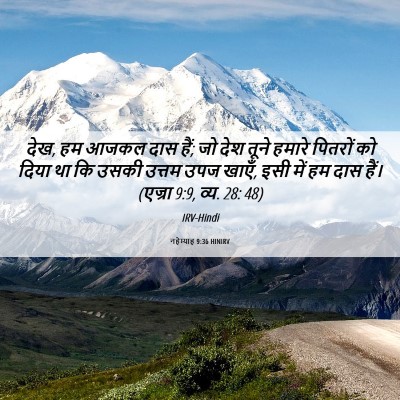 Picture 06 - नहेम्याह 9:36 HINIRV - देख, हम आजकल दास - Bible Verse Picture
