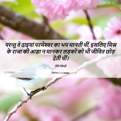 Picture 06 - निर्गमन 1:17 HINIRV - परन्तु वे दाइयां - Bible Verse Picture