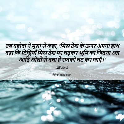 Picture 06 - निर्गमन 10:12 HINIRV - तब यहोवा ने मूसा से - Bible Verse Picture