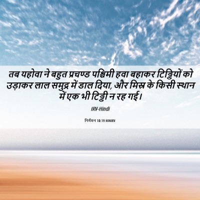 Picture 06 - निर्गमन 10:19 HINIRV - तब यहोवा ने बहुत - Bible Verse Picture