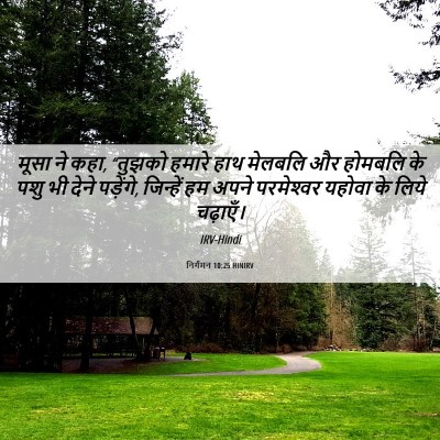 Picture 06 - निर्गमन 10:25 HINIRV - मूसा ने कहा, “तुझको - Bible Verse Picture