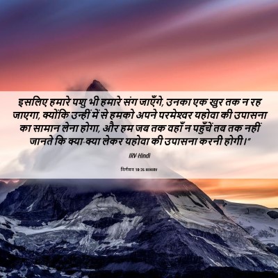 Picture 06 - निर्गमन 10:26 HINIRV - इसलिए हमारे पशु भी - Bible Verse Picture