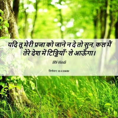 Picture 06 - निर्गमन 10:4 HINIRV - यदि तू मेरी प्रजा - Bible Verse Picture
