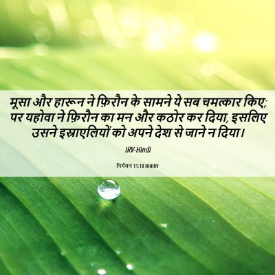 Picture 06 - निर्गमन 11:10 HINIRV - मूसा और हारून ने - Bible Verse Picture