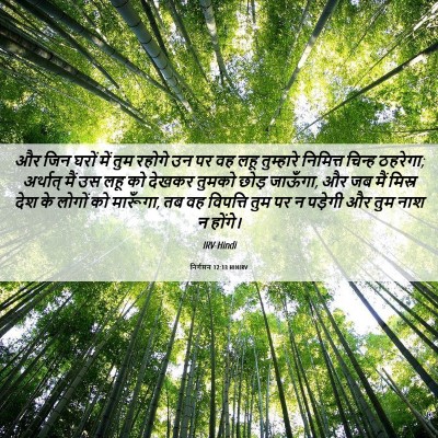 Picture 06 - निर्गमन 12:13 HINIRV - और जिन घरों में तुम - Bible Verse Picture
