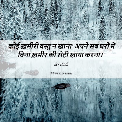 Picture 06 - निर्गमन 12:20 HINIRV - कोई ख़मीरी वस्तु न - Bible Verse Picture