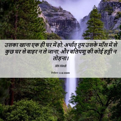Picture 06 - निर्गमन 12:46 HINIRV - उसका खाना एक ही घर - Bible Verse Picture