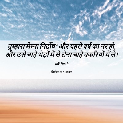 Picture 06 - निर्गमन 12:5 HINIRV - तुम्हारा मेम्‍ना - Bible Verse Picture