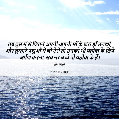 Picture 06 - निर्गमन 13:12 HINIRV - तब तुम में से जितने - Bible Verse Picture