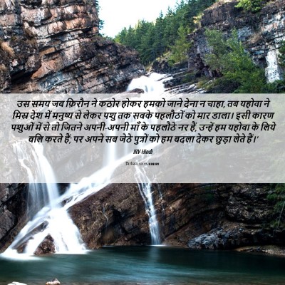 Picture 06 - निर्गमन 13:15 HINIRV - उस समय जब फ़िरौन ने - Bible Verse Picture