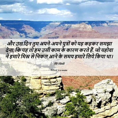 Picture 06 - निर्गमन 13:8 HINIRV - और उस दिन तुम - Bible Verse Picture