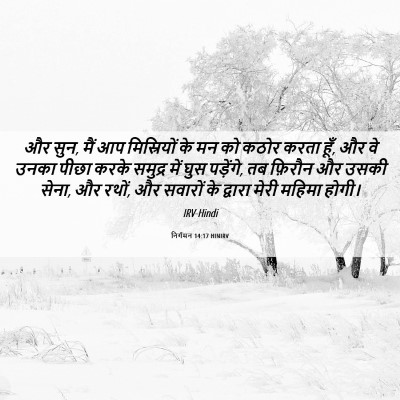 Picture 06 - निर्गमन 14:17 HINIRV - और सुन, मैं आप - Bible Verse Picture