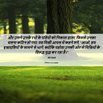Picture 06 - निर्गमन 14:25 HINIRV - और उसने उनके रथों - Bible Verse Picture