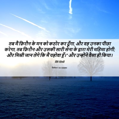 Picture 06 - निर्गमन 14:4 HINIRV - तब मैं फ़िरौन के मन - Bible Verse Picture