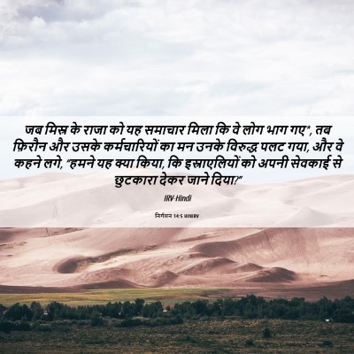 Picture 06 - निर्गमन 14:5 HINIRV - जब मिस्र के राजा को - Bible Verse Picture